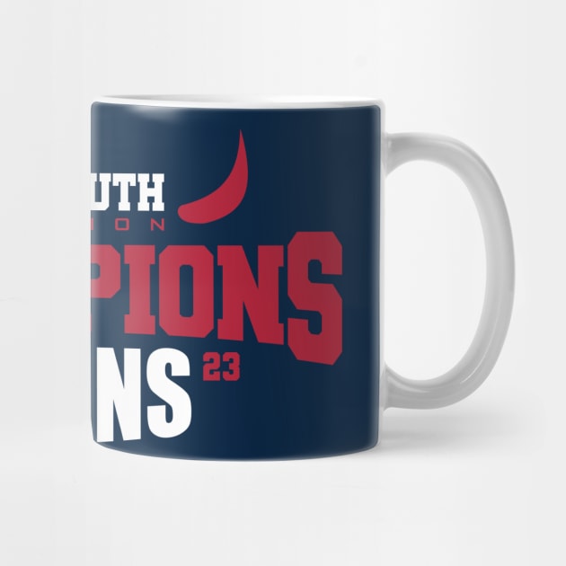 Texans South Champions by Nagorniak